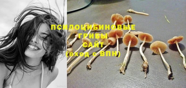 mdpv Ростов