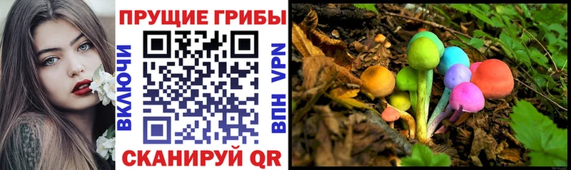 Галлюциногенные грибы Psilocybine cubensis  мориарти какой сайт  Велиж  купить наркотик 